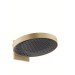 Hansgrohe Kopfbrause Rainfinity 360 3jet Wandmontage brushed bronze