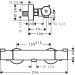 Hansgrohe Thermostat Ecostat CL 1001 Brause AP DN15 chrom