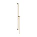 Hansgrohe Unica Brausestange S Puro 90 cm mit Easy Slide Handbrausehalter und Isiflex Brauseschlauch 160 cm Brushed Bronze