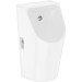 Hansgrohe Urinal EluPura Original S m.Zul.v.hint.Abl.na.unt/hin,spülr.HYE we