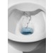 LF Wand-Tiefspül-Dusch-WC CLEANET NAVIA 580x360mm spülrandlos LCC weiß