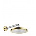 HG Tellerkopfbrause Raindance Classic 240mm Air chrom/gold mit Brausearm 383mm