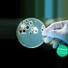 Sprinz SpriMedical Beschichtung Aufschlag